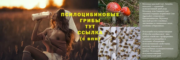 альфа пвп Ростов