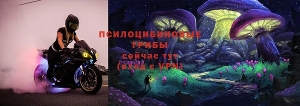 тгк Россошь