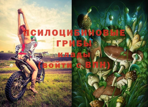 винт Абинск