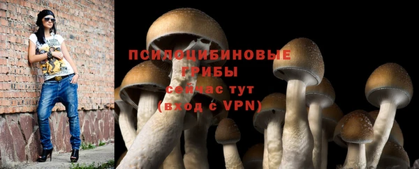 винт Абинск