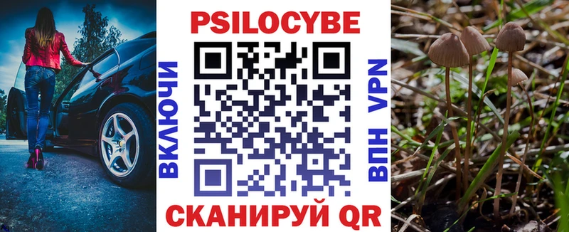 Галлюциногенные грибы Psilocybe купить Касли